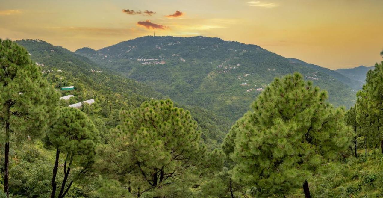 The Western Heights I Serviced Apartments I Pvt Balcony I Lift I Peacefull Area I Family Accomodation I Kasauli I By Exotic Stays Esterno foto